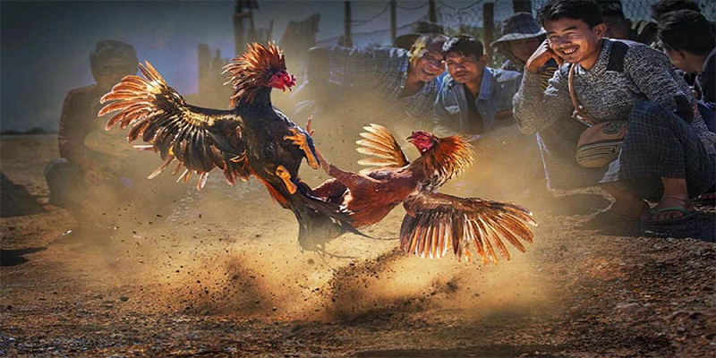 84race chơi bắn cá đổi thưởng