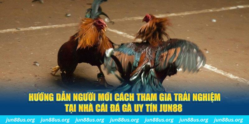 84race CQ9 Điện Tử