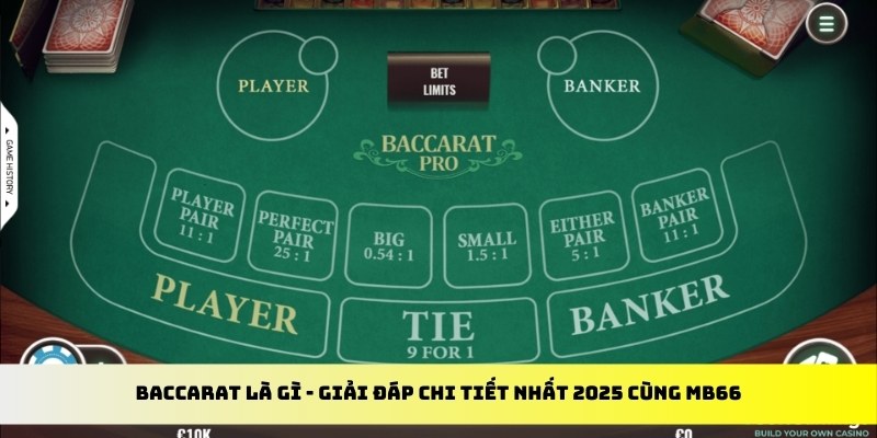 84race gà chọi cu cần