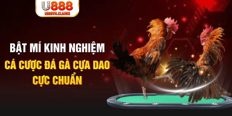 84race tỷ lệ cá cược châu á là gì