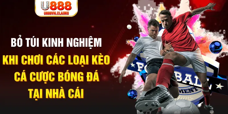 84race Tài Xỉu