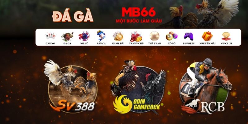 84race đăng nhập poker số 1