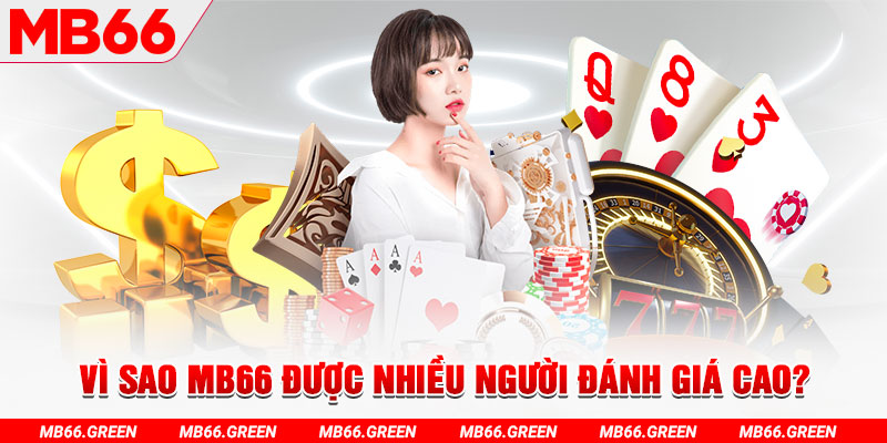 84race đá gà