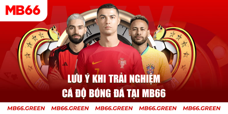 84race cá cược là gì