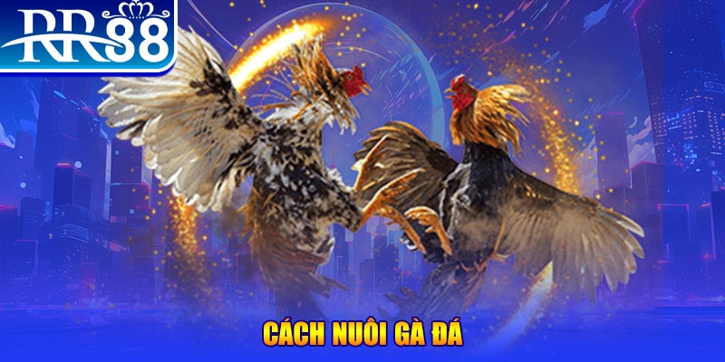 84race xổ số an giang