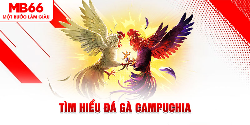 84race game đánh bài trên máy tính