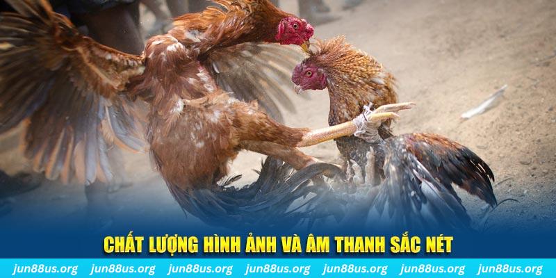 84race đăng nhập roulette live
