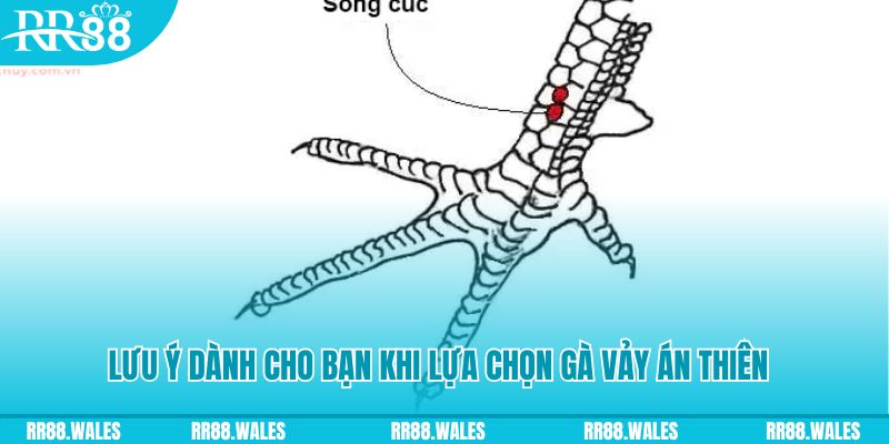 84race xổ số đồng nai