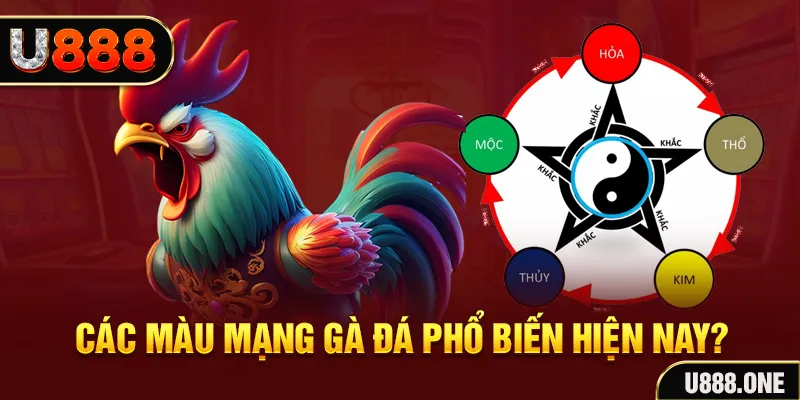 84race trực tiếp đá gà 88