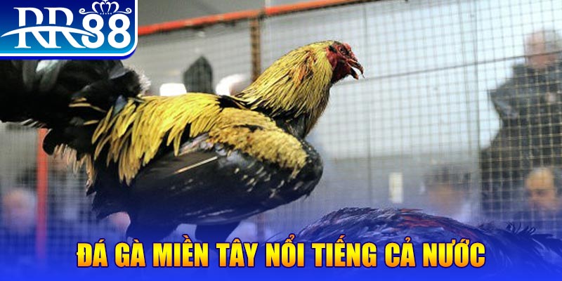 84race JILI Game Bài 3d
