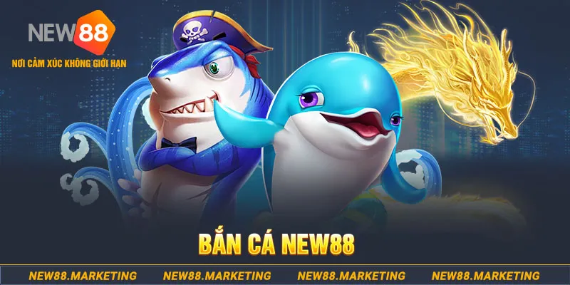 84race ban ca xeng 2