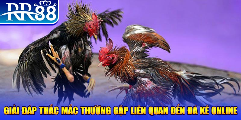 84race xổ số đà lạt