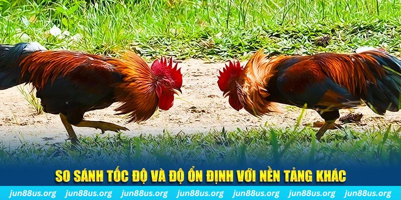 84race đá gà hôm nay