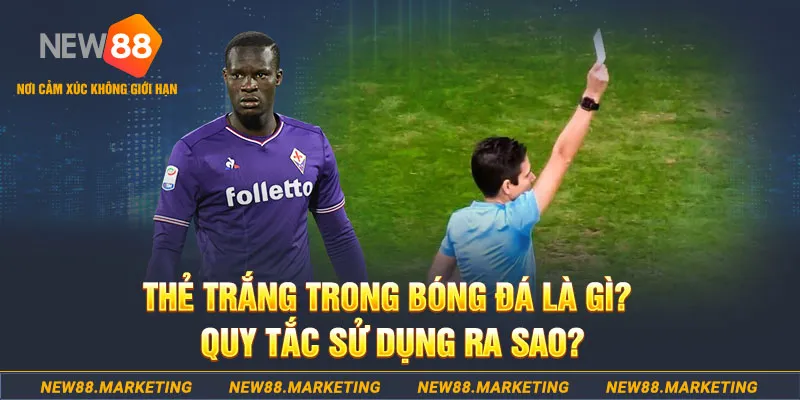 84race gà chọi mộc hóa