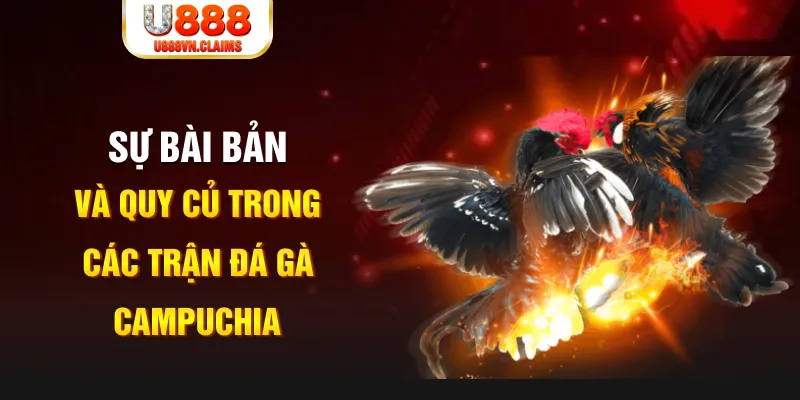 84race YGR Điện Tử