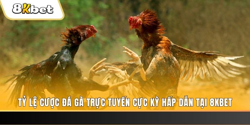 84race đăng nhập phỏm trực tiếp
