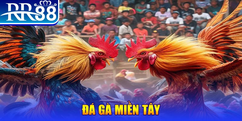 84race chơi slot là gì