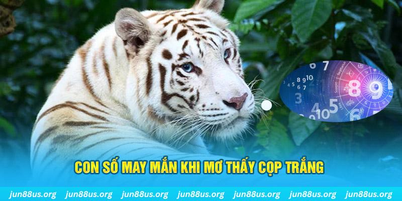 84race đá gà trực tiếp 88